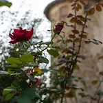 Castello Di Lisignano - Storia Pace E Tradizione