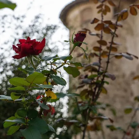 Castello Di Lisignano - Storia Pace E Tradizione